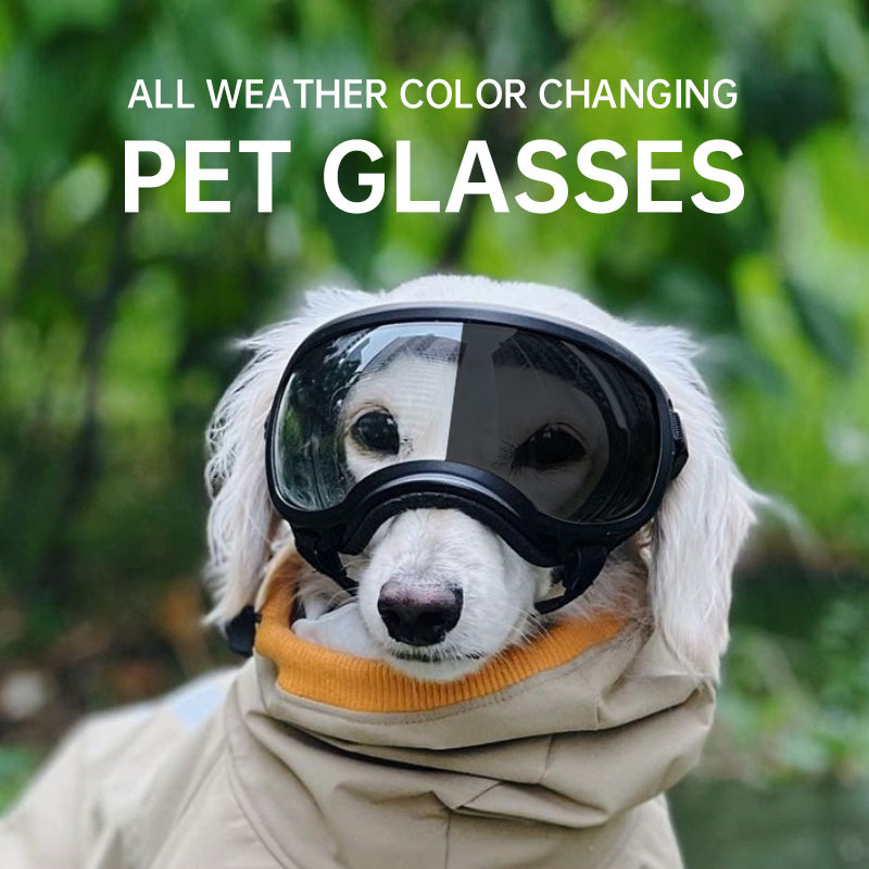 Snow Goggle Uv - Lunettes pour animaux de compagnie à