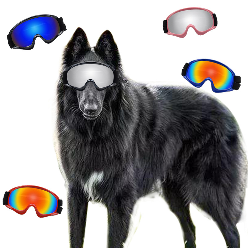 Lunettes de protection pour ch - Snow Goggle Uv avis et prix