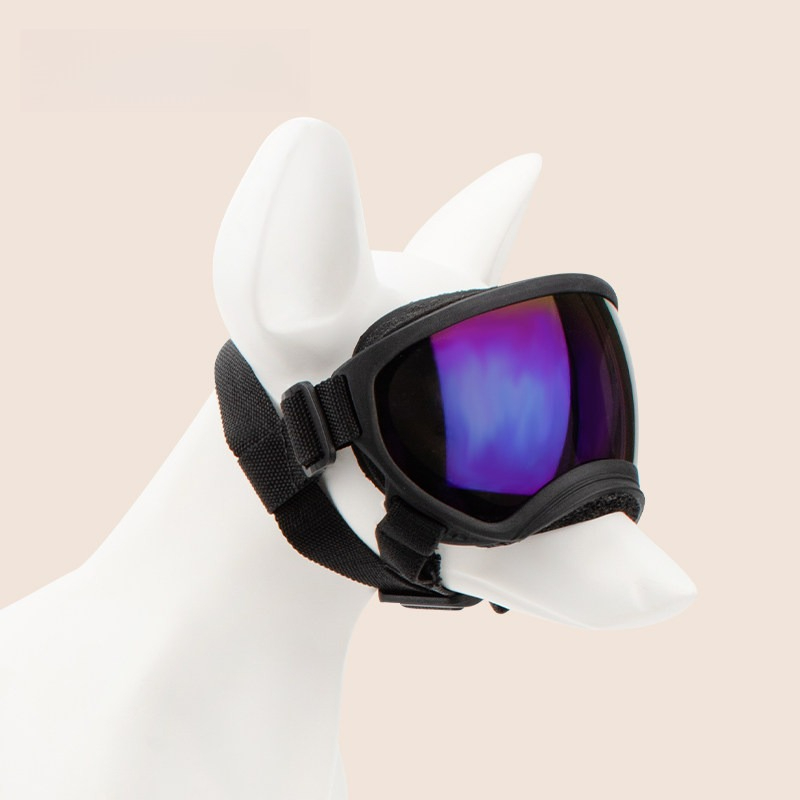 Lunettes de protection pour ch - Snow Goggle Uv avis et prix