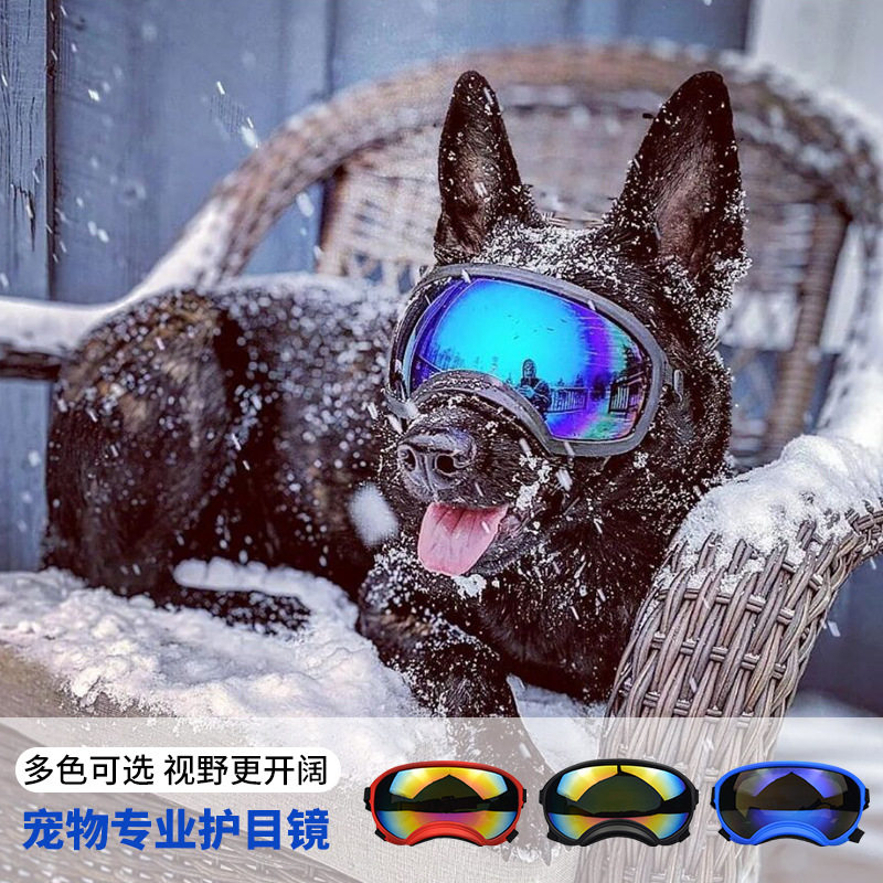 Lunettes de protection pour ch - Snow Goggle Uv avis et prix