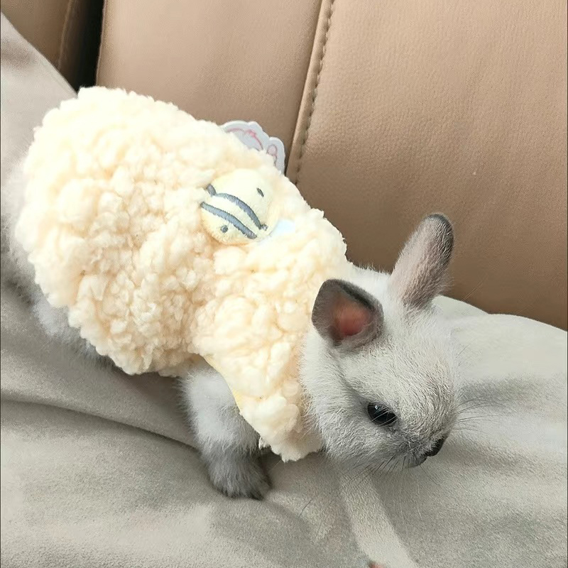 Pull chaud d'hiver pour lapins - Winter Clothing Newborn avis et prix