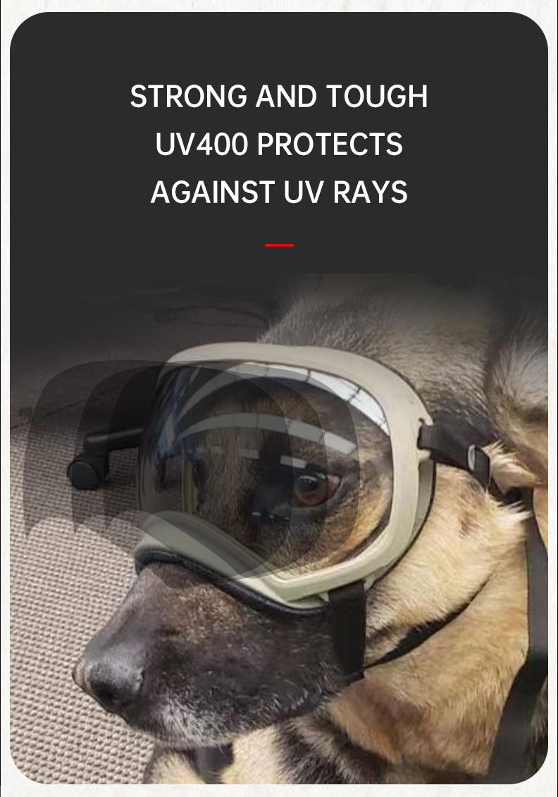 Lunettes pour animaux de compa - Snow Goggle Uv avis et prix